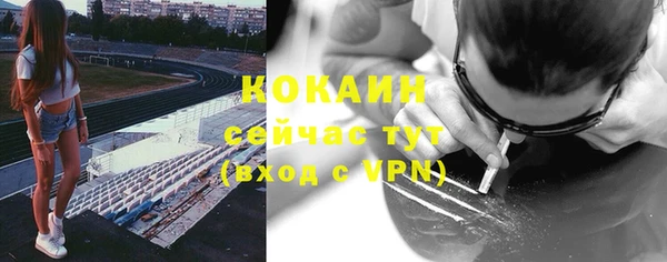 СК Алексин