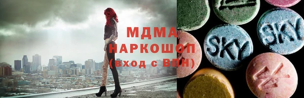 СК Алексин