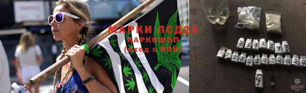 PSILOCYBIN Алексеевка