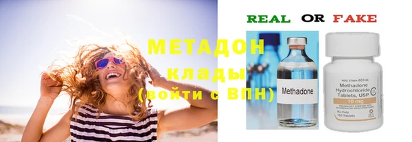 apvp Алзамай