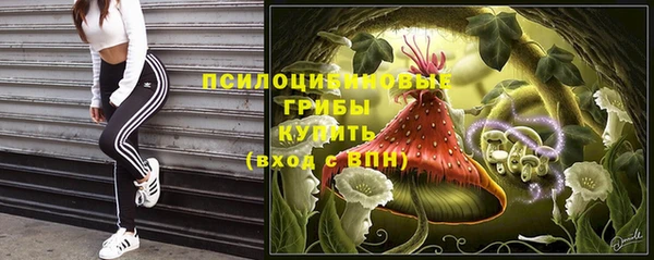 СК Алексин
