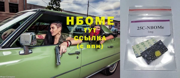 СК Алексин